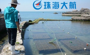 中國(guó)鮑魚產(chǎn)業(yè)暴漲迷局,重量分選機(jī)為您解讀其中的故事