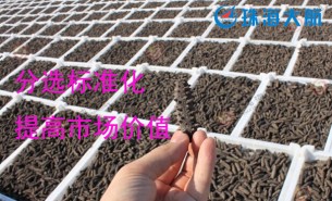 大家都用重量分揀機(jī)分選海參了！您還在用人工分選嗎？
