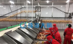 復工后禽肉屠宰加工產(chǎn)量提不上去？快用珠海大航重量分選機