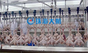 重量分揀設(shè)備如何實(shí)現(xiàn)整雞分選？