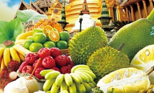 探索水果分揀機(jī)如何通過自動(dòng)化技術(shù)在果園、加工廠、保鮮庫(kù)及零售環(huán)節(jié)提高生產(chǎn)效率，降低成本，并確保水果品質(zhì)滿足市場(chǎng)需求。