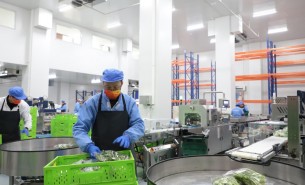 蔬菜配重機(jī)：解決人工成本與效率問題，助力蔬菜加工發(fā)展