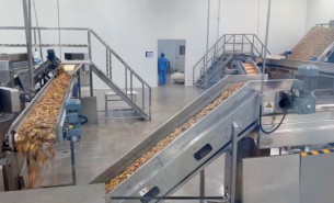 中藥材三七分選：重量分選機高效精準(zhǔn)之選