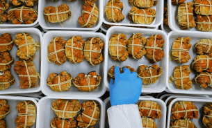 探索青蟹重量分選機如何實現(xiàn)青蟹精準重量分選及產業(yè)價值