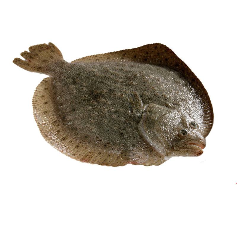 多寶魚(yú)自動(dòng)分選機(jī)之多寶魚(yú)稱重分揀案例視頻