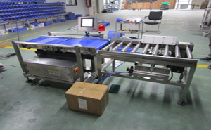 稱重剔除儀 稱重剔除儀