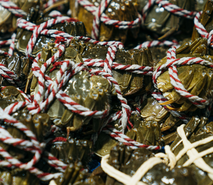 1669081642243516.png 1669081642243516.png