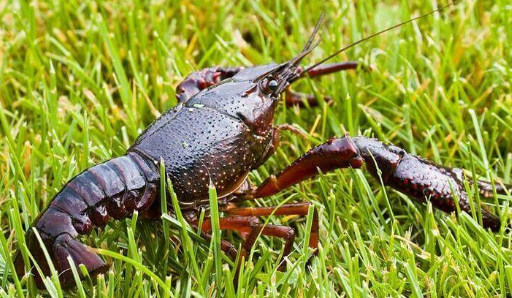 1677741417137430.png 1677741417137430.png